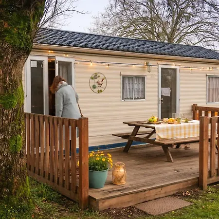 Le Bruant Des Roseaux Villegusien-le-Lac