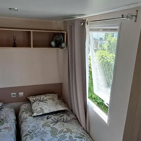 Le Bruant Des Roseaux *