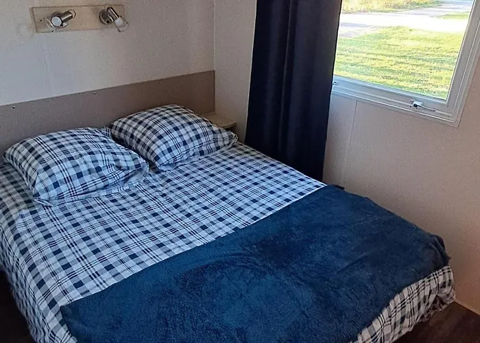 Le Bruant Des Roseaux * Villegusien-le-Lac