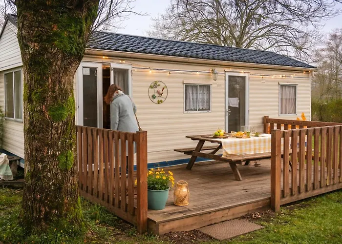 Le Bruant Des Roseaux Villegusien-le-Lac