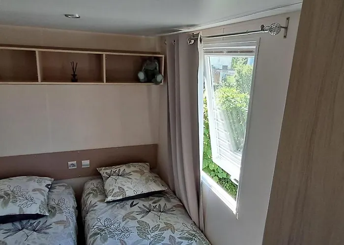 Le Bruant Des Roseaux *