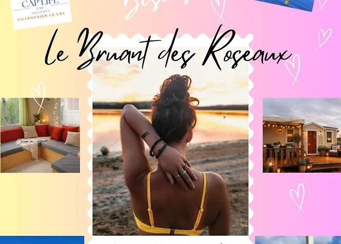 Le Bruant Des Roseaux