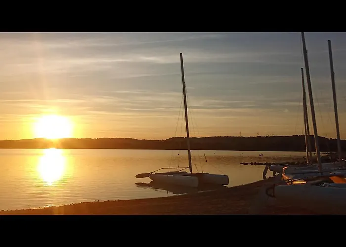 Le Bruant Des Roseaux * Villegusien-le-Lac